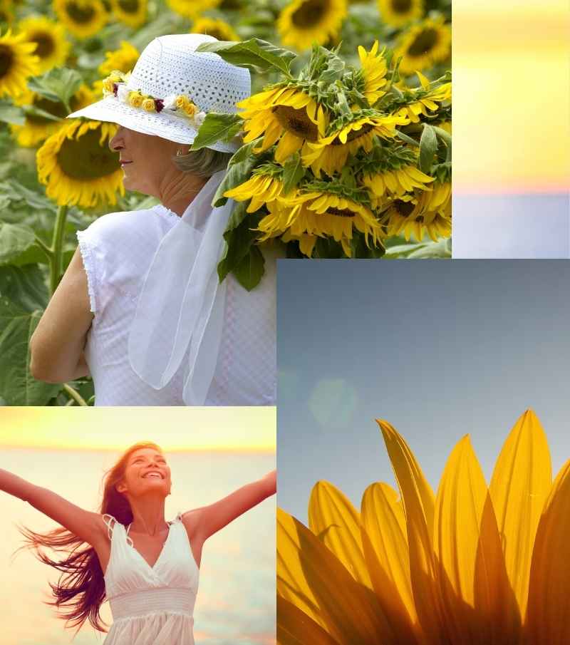 coaching psicologico equinocio girassol consultas de psicologia