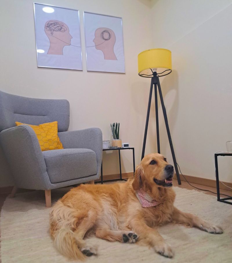 Nala Equinocio Girassol Terapia Animal